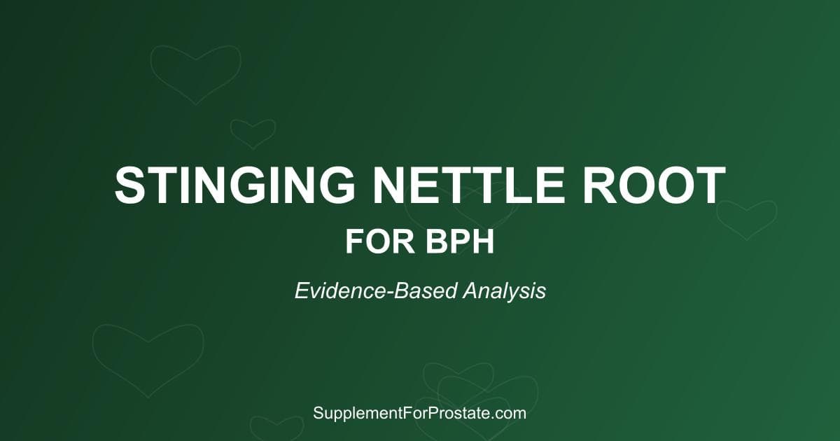 Stinging Nettle Root for BPH: Evidence-Based Analysis