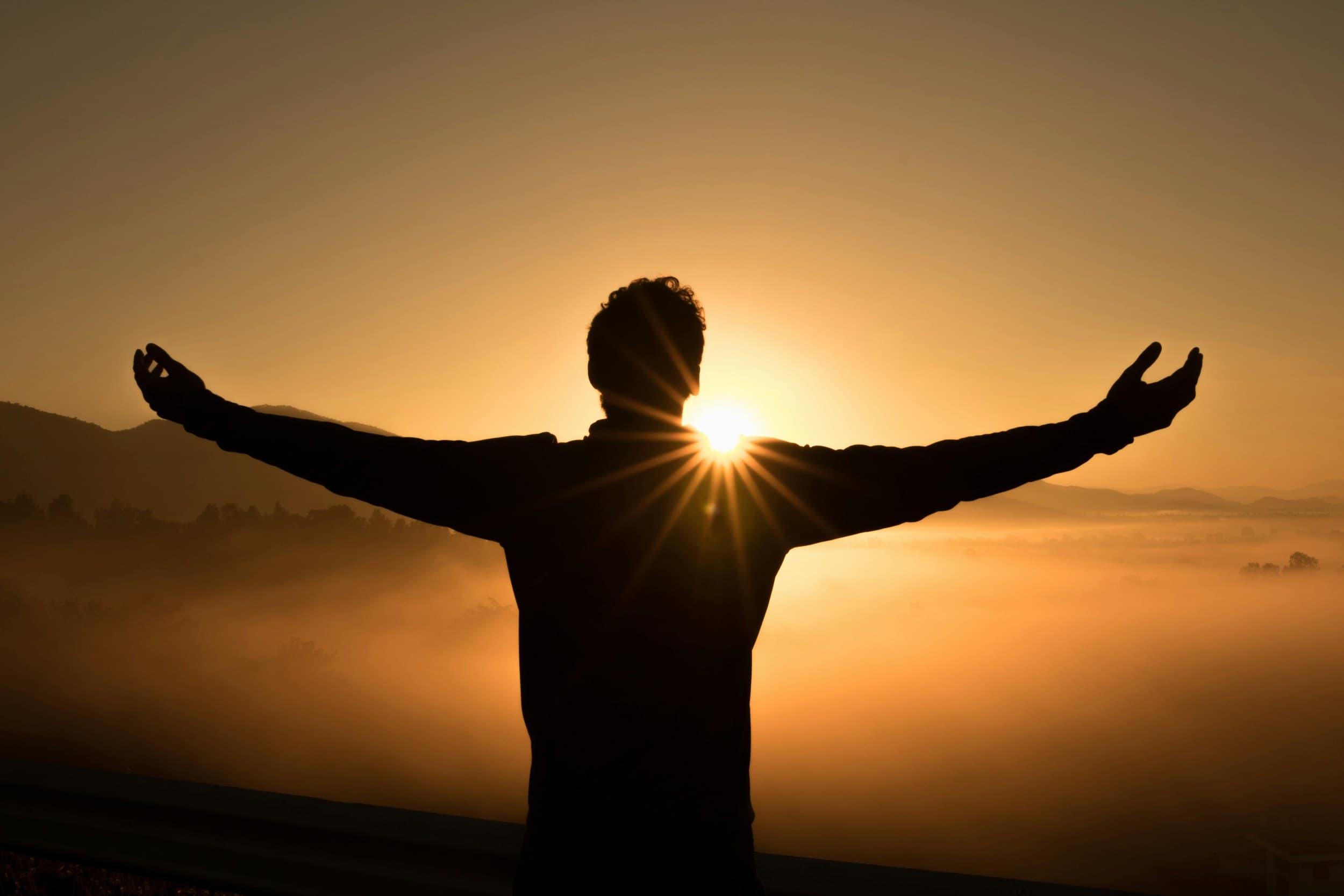 Prostate Health Supplements